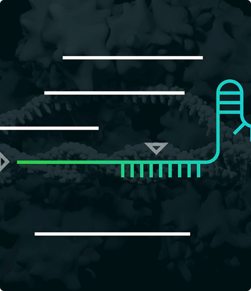 Block - Text Left and image right